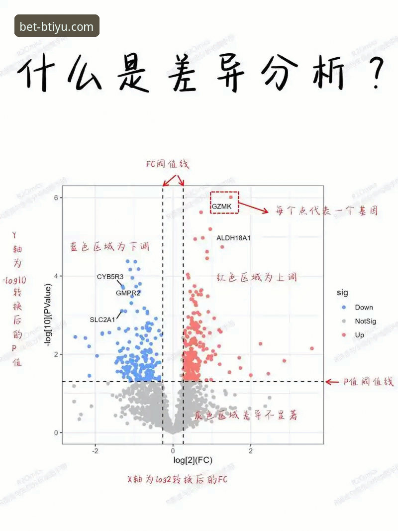 btiyu.com入口使用技巧 vs 传统访问方式：全面对比分析
