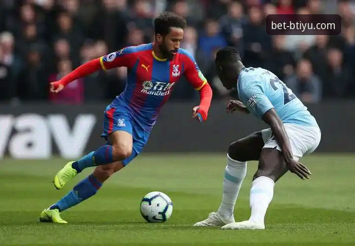 b体育平台入口选择完整指南：btiyu.com对比评测与使用技巧